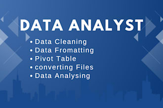 accurate clean data, formatting, and pivot table analysis