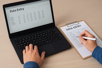 data entry, data cleaning, hlookup vlookup excel work