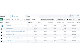 run targeted facebook and instagram ads to grow your business