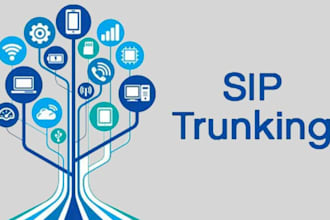 arrange sip user, sip routes and sip trunks for USA spoof api, did number