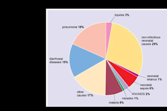 manage and analyze your data professionally using excel and spss