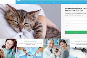 design stunning vetcare decks medical business engaging slides presentations