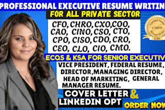 write executive resume engineering resume tech IT resume for c levels executives