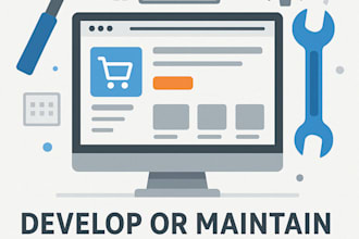 develop or maintain custom modules for your webstore