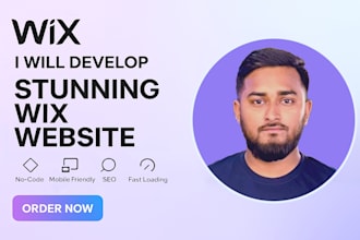 develop stunning wix website