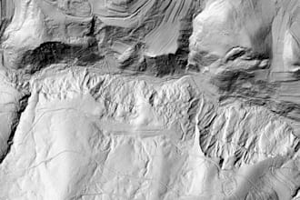 do orthophoto, dsm, dtm, lidar derivative maps