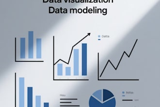 data visualization and veteran data analyst