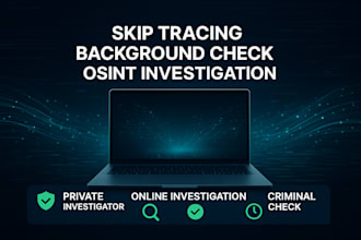 conduct a full background check on any US citizen, be your private investigator
