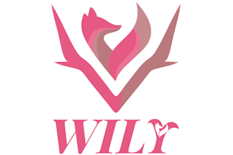 design a unique and professional logo for your brand