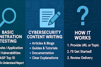 find website vulnerabilities and write about cybersecurity
