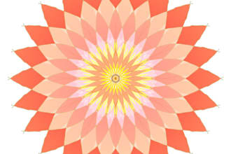 write SEO blog posts on wellness, sustainability, empowerment