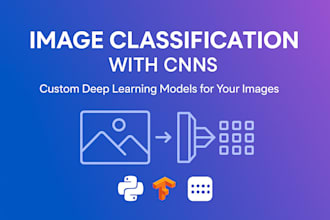 build image classification model