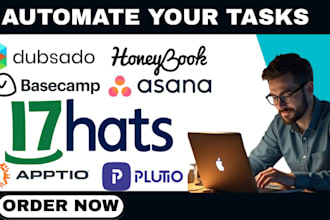 set up dubsado and honeybook crm account, 17hats, acuity scheduling