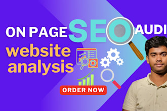 provide an in depth on page SEO audit and website analysis