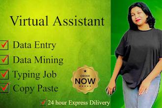 be your virtual assistant for data entry, data mining, copy paste, web  research
