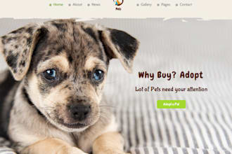 build squarespace poop scooper website dog training dog walking website