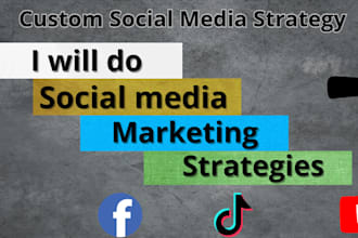 customized social media growth strategies for your brand