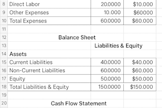 prepare professional income statement for your business