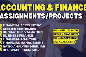 do accounting and finance assignment , financial analysis report , excel project