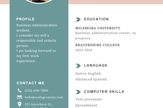 design a professional and modern resume or CV