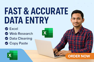 do excel, data entry, web research, and data cleanup PDF to excel data cleanup