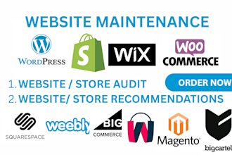 audit shopify wordpress wix weebly woocommerce  website with recommendations