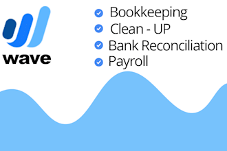 do bookkeeping, clean up, bank reconciliation, payroll in wave