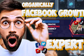 do a professional facebook page setup for organically growth
