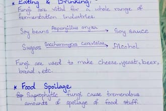 elegantly hand write your documents study notes and letters