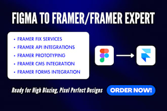 framer website framer bug fix framer cms setup framer landing page framer forms