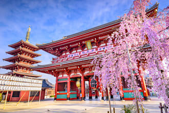 create a custom travel itinerary for your trip to japan