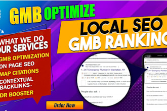 do monthly local seo ranking and do website, google my business optimization