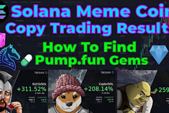 build powerful crypto bot combines, solana trading, meme coin copy trading bot