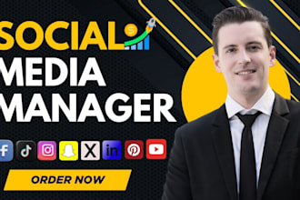 social media manager content creator instagram facebook tiktok linkedin manager
