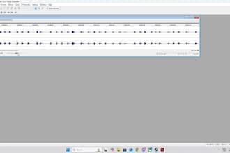 make a voice over or voice act for your project