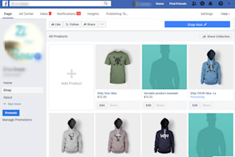 set up facebook shop, tiktok, instagram shop, fix meta pixel, shopify and etsy