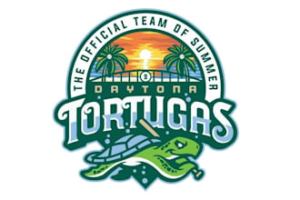 design high quality turtle mascot logo with creative concepts