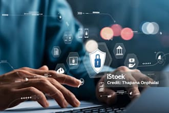 cybersecurity assignment vulnerability testing data analyst penetration testing