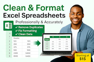 clean and format your excel spreadsheets professionally