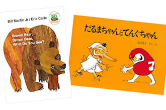 proofread and translate picture books