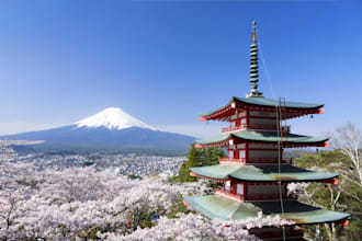 help you with your business in japan