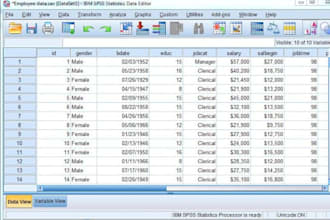 do urgent spss data analysis with apa report writing