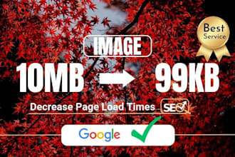 optimize image size for the web or compress and resize images pictures
