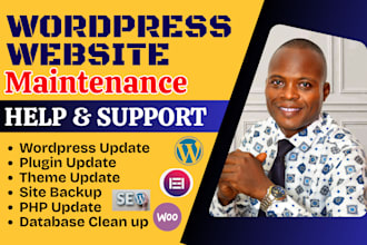 do wordpress maintenance, wordpress backup, wordpress update and support