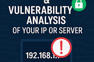 perform a penetration test and vulnerability analysis of your IP or server