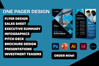 design one pager executive summary, investment teaser, infographics, sales sheet