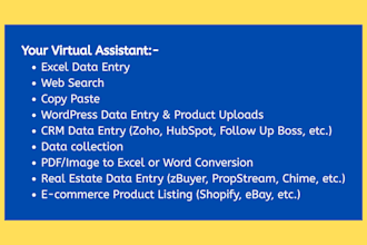 do fastest excel data entry, copy paste, PDF to excel, web research