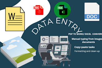 convert PDF to word or excel, do typing and data entry