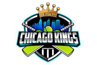 create a modern and creative cricket team logo design