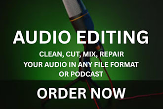 professionally edit audio, enhance audio, remove background noise